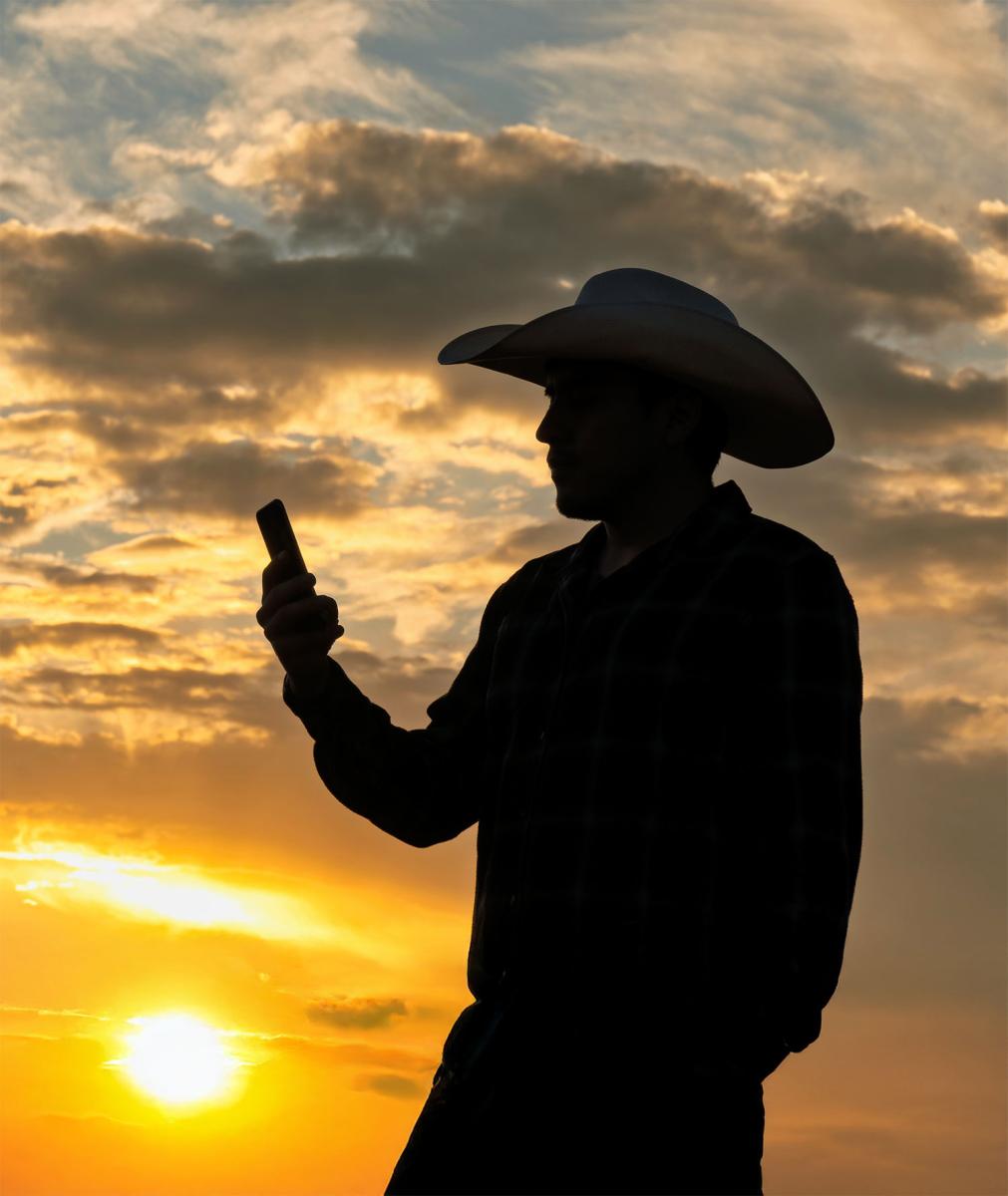 Cowboy at sunset